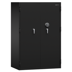 DGS300 DGS300